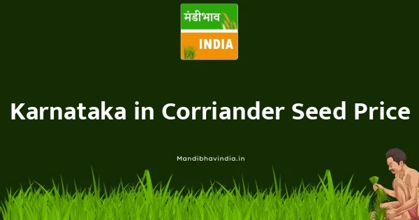 Corriander Seed भाव